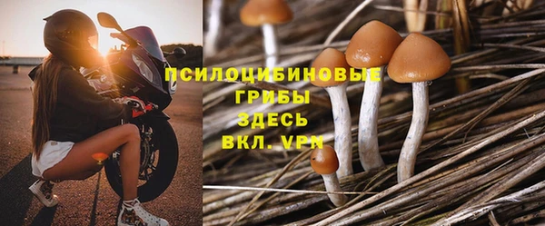 ALPHA PVP Иннополис