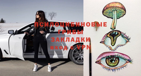 прущая мука Каменка
