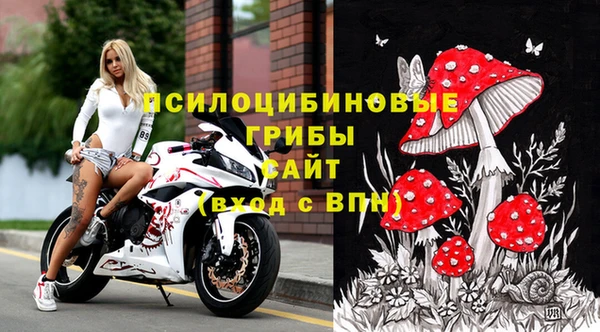 кокс Каменногорск