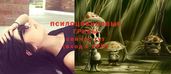 кокс Каменногорск