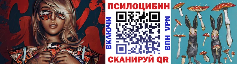 Псилоцибиновые грибы мицелий  Купить  Кумертау 