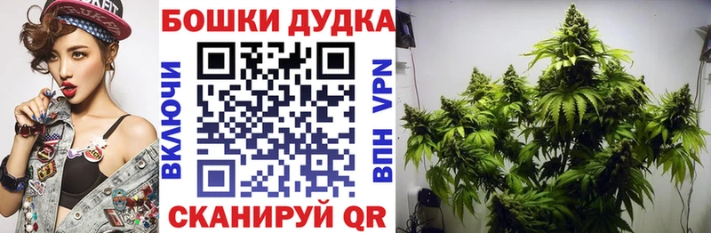 Купить закладки  Кумертау  Бошки Шишки ГИДРОПОН 